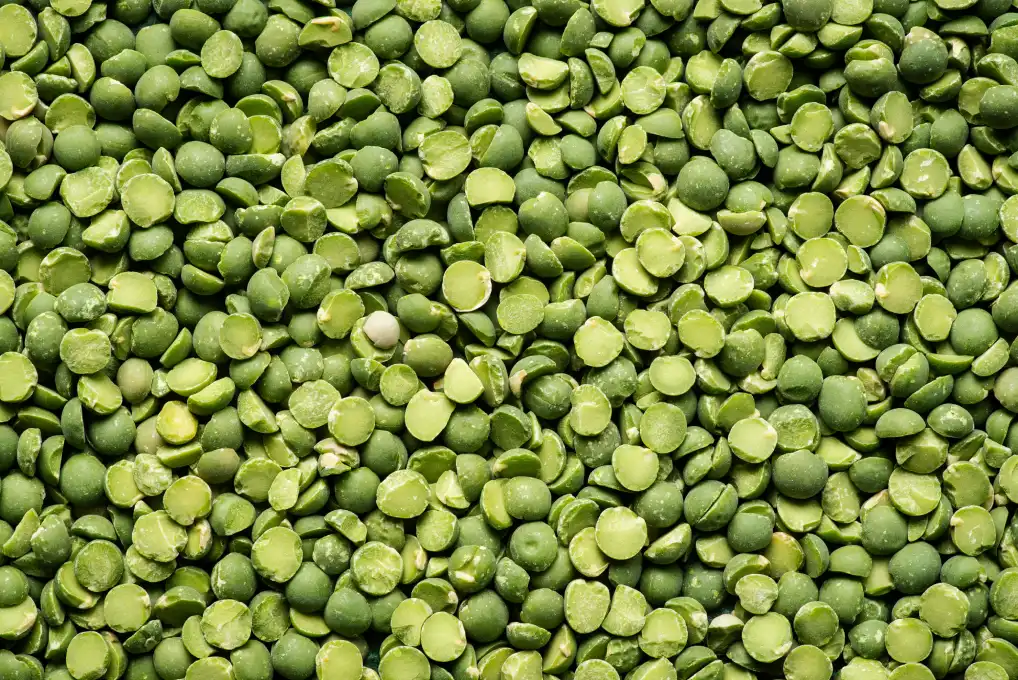 6727906743da26bbce479132_lentils-green
