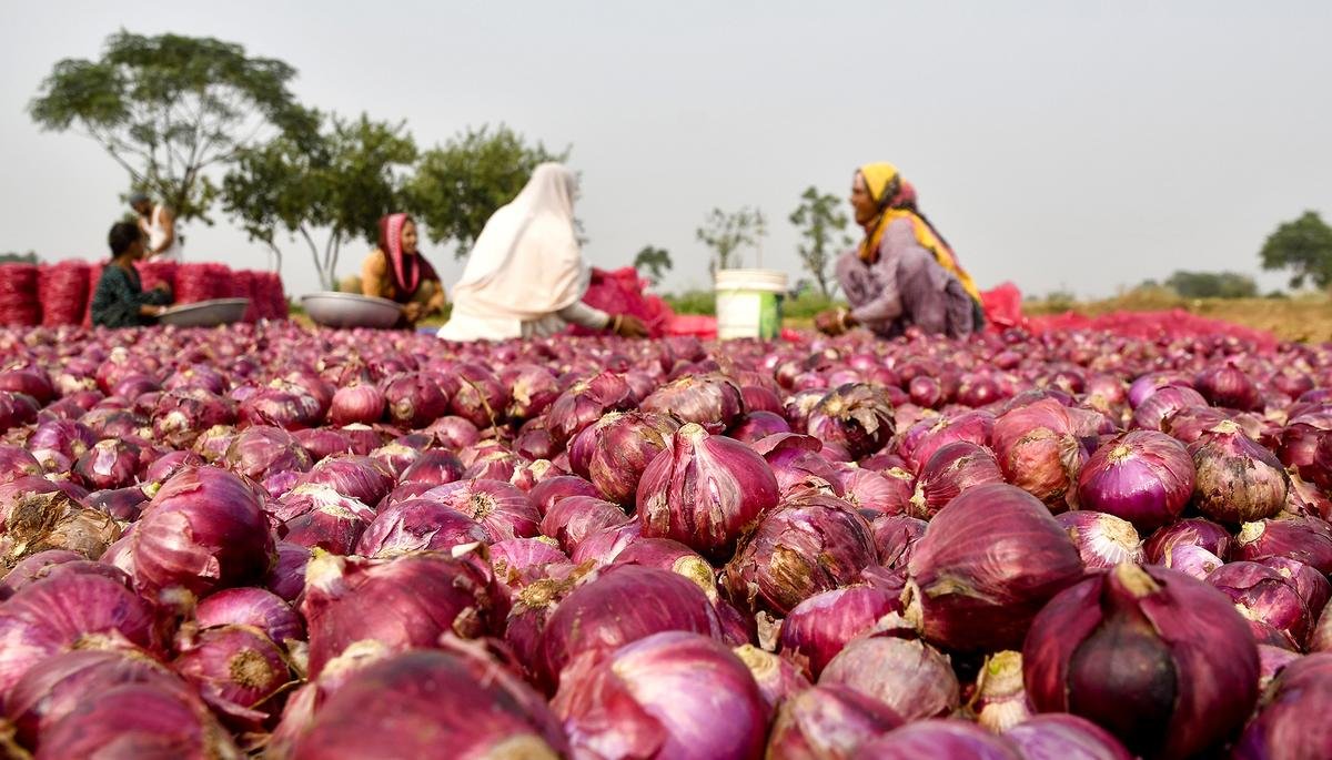IMG_onions_and_india_2_1_TMC4BAN0